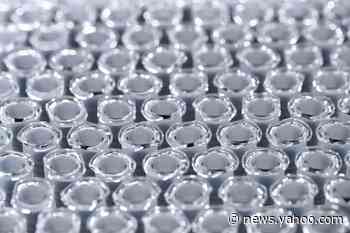 COVID-19 vaccine won't be mandatory in US, says Fauci