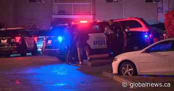 Edmonton police investigate shooting in city’s northeast