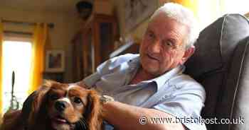 pensioner left 'upset' after his dog given Metacam overdose at vets