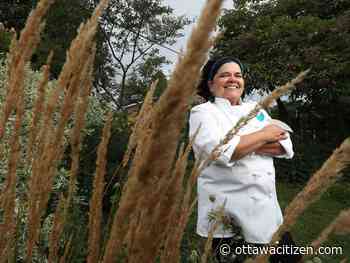 One-year contract is taking Ottawa chef Trudy Metcalfe-Coe to Iqaluit - Ottawa Citizen
