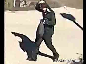 Victim tied up in daytime Orléans home invasion, suspects sought - Ottawa Citizen