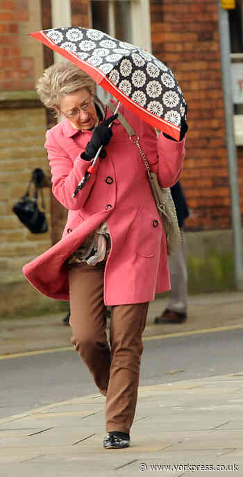 Yellow warning for strong winds across North Yorkshire