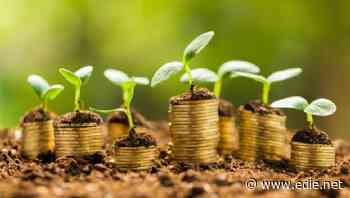 Moody's: Global green bond issuance reached record high amid Covid-19 crisis