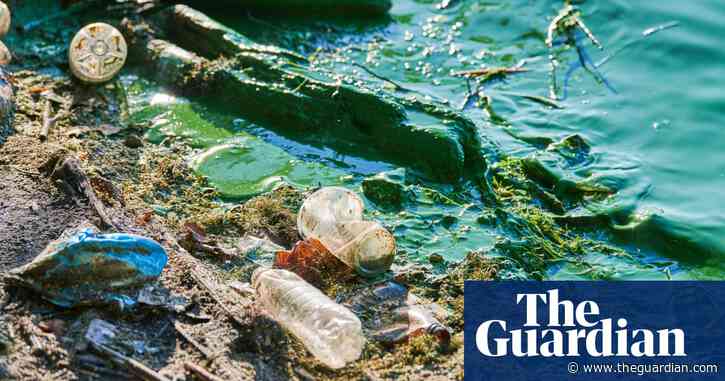 Diluting English river standards a backward step, campaigners warn