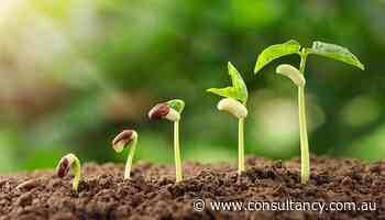 Pollen adds leadership coaching course to its academy - Consultancy.com.au