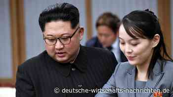 Geheimdienst: Nordkoreas Machthaber tritt Befugnisse an Schwester ab