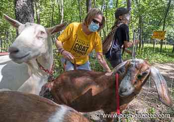 Pet Tales: Weed-eating goats beautify Frick Park and enchant visitors