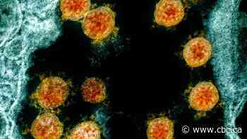 Scientists find COVID-19 coronavirus variant linked to milder infections