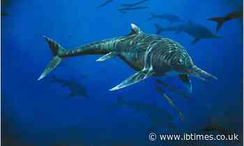 Giant reptile found intact inside belly of ichthyosaur fossil found in China