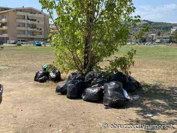 Erba alta, potature e rifiuti abbandonati: la Poliservice replica alle accuse e fa chiarezza sulle reali competenze - Ultime Notizie Cityrumors.it - News Ultima ora - CityRumors.it