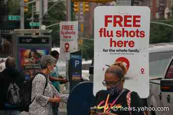 When should I get my flu shot this year? Everything to know about flu season during the coronavirus pandemic