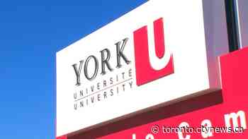 York University program helps food entrepreneurs grow their businesses in COVID era