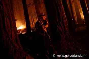 Branden Californië breiden zich uit, 175.000 mensen geëvacueerd