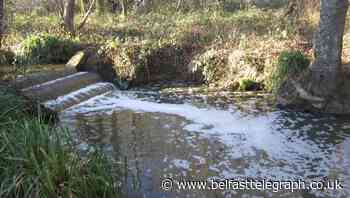 College fined £50,000 for polluting stream with slurry
