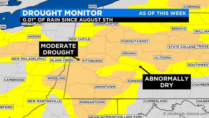 Pittsburgh Weather: 16 Pennsylvania Counties Under Drought Watch; Residents Asked To Reduce Water Use