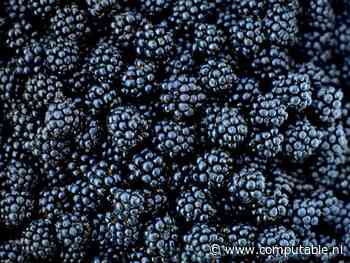 Blackberry: driemaal is scheepsrecht?