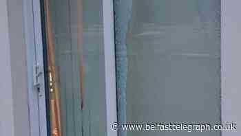 Attack on Belfast home of young Syrian refugee family treated as hate crime