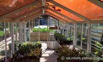 Weatherwatch: solar farms with added food