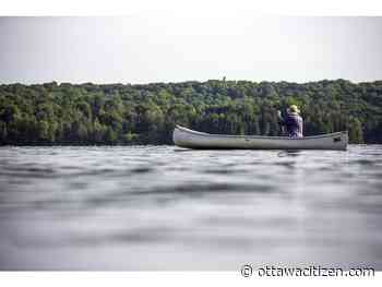 COVID camping craze has Canadians streaming into the wild