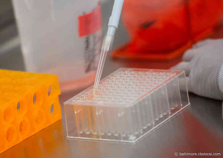 COVID-19 Vaccine Should Go To Essential Healthcare Workers First, Johns Hopkins University Experts Say