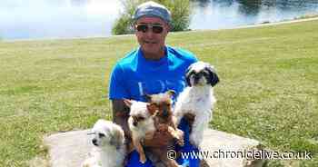 Heartbreak after pregnant dog is sent home from the vets and dies hours later