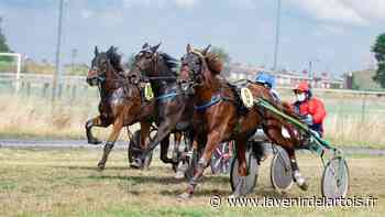 Ce dimanche, l'hippodrome d'Arras sera à la fête - L'Avenir de l'Artois