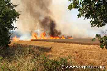 Electric cable brought down by wind causes fire in Knapton