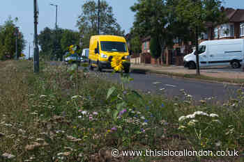 Brent Council extends bee corridor to verges and roundabouts