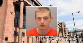 Gateshead serial crook who stole Christmas decorations from flats and lead from church walks free - Chronicle Live