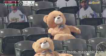 Giant teddy bear slammed with foul ball at baseball game, bounces back with a smile
