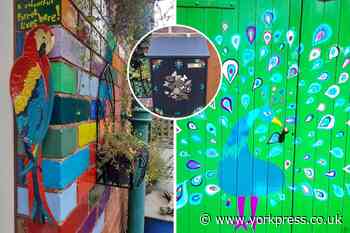 Peacocks & insect hotels - is this York's most arty garden?