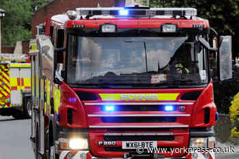 Garden shed destroyed by fire