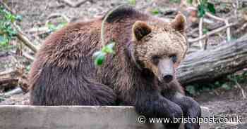 Parents tell us where they've felt safest on family days out in Bristol