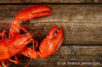 US and EU agree mini-trade deal to cut lobster tariffs