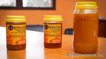 Instalarán una sala de extracción de miel en San José - Misiones OnLine