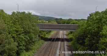 Person killed after being hit by train on main Swansea to Cardiff line