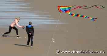 Strong winds to ease but will the hot weather return?