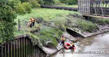 Fifteen-year-old girl who died in Cardiff river is named as Nicola Williams