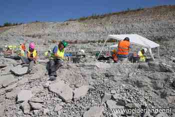 De Winterswijkse steengroeve, een gat van goud: ‘Volstrekt uniek, deze plek in ons land’