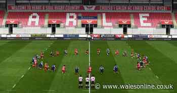 Scarlets and Cardiff Blues take the knee after tribute for Covid-19 victims