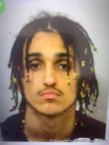 Police appeal after teenager goes missing in Harrow
