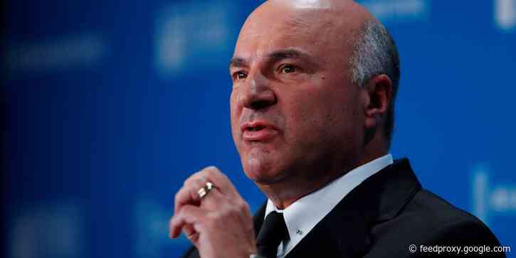 'That's how capitalism works': Shark Tank investor says a portion of small businesses are going to die and the government can do nothing to stop it