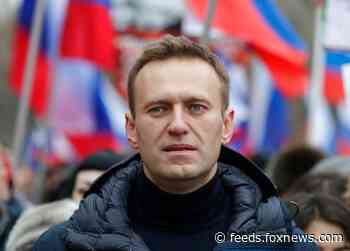 Alexei Navalny 'poisoning': Video purportedly captures Putin critic screaming out in pain on flight