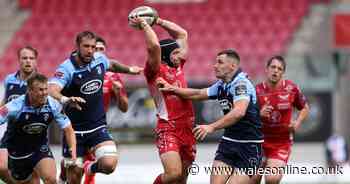 Scarlets v Cardiff Blues ratings on herculean effort and early end to No.9 test