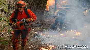 California firefighters struggle to contain 560 blazes as governor asks for help