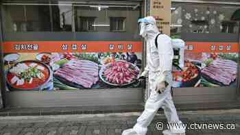 World virus deaths top 800,000 as nations ramp up measures