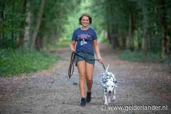 Merel (12) uit Bennekom start eigen uitlaatservice: ‘Grote Dalmatiër lijkt eng, maar is super lief’