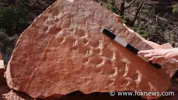 Fossil footprints from 313 million years ago oldest ever found in Grand Canyon