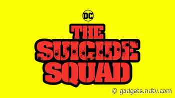 The Suicide Squad Characters Revealed at DC FanDome