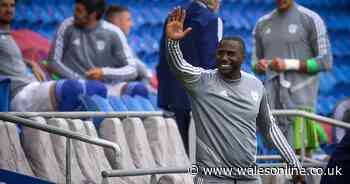 Middlesbrough plot raid on Cardiff City veteran — reports